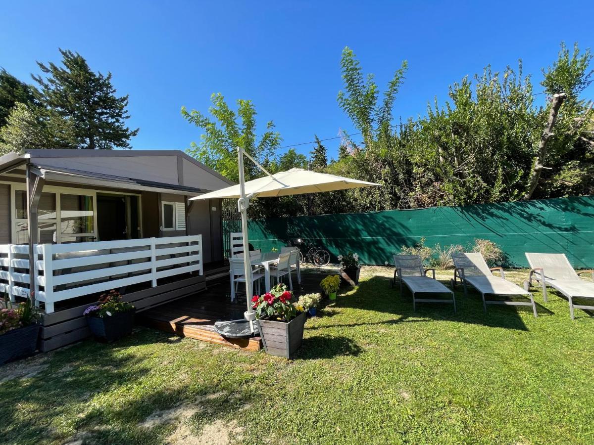 Avignon, Joli Chalet En Campagne Tres Proche De La Ville Ngoại thất bức ảnh